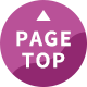 PageTop